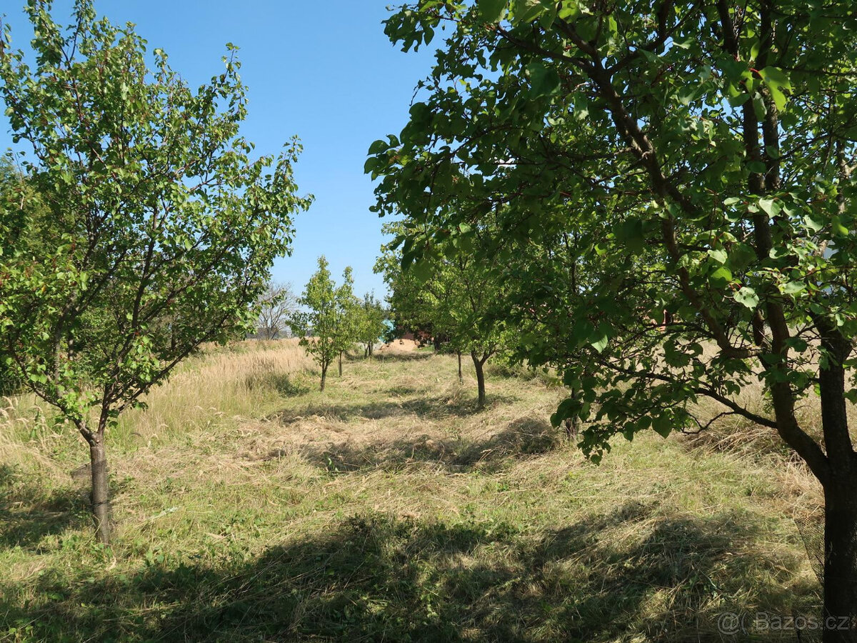 Pozemek Velké Pavlovice - 4