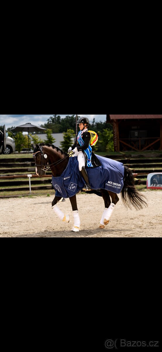 Nabízím Drezurni tréninky - 4