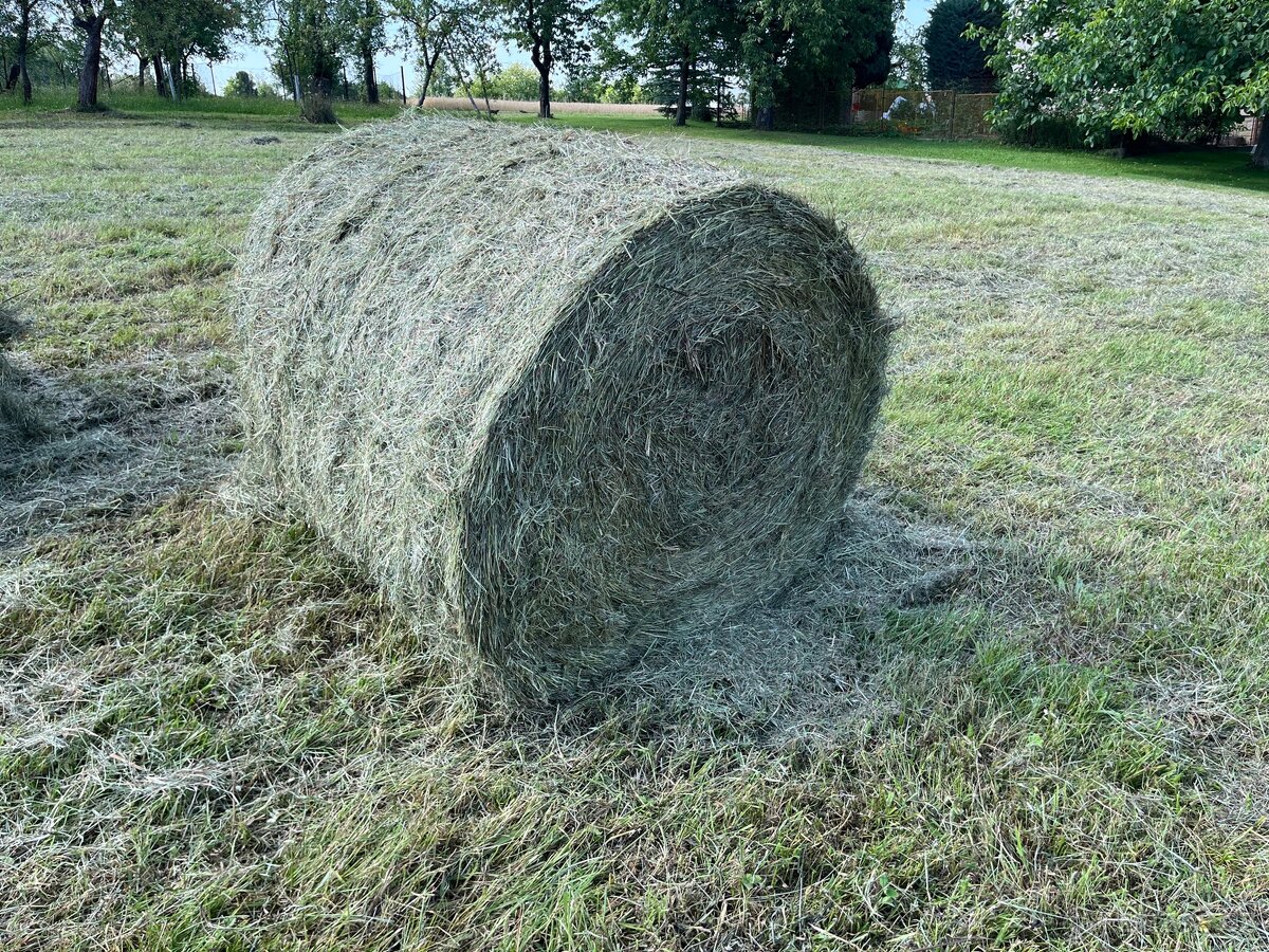 Lisování sena, slámy, senáže. - 4