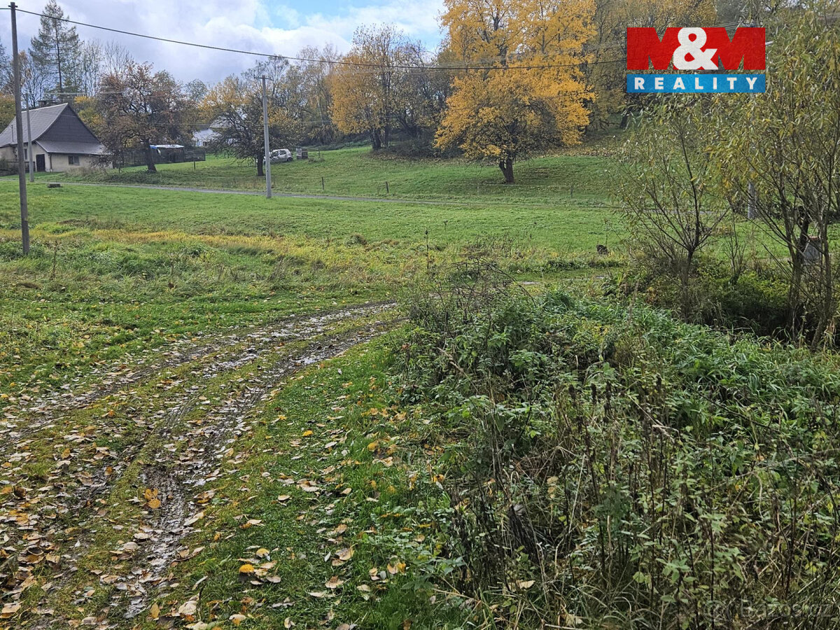 Prodej louky, 1636 m², Hanušovice - 4