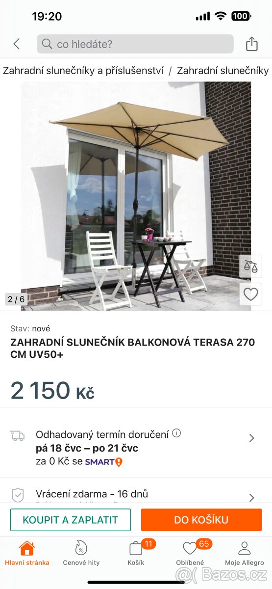 Balkonovy slunecnik, poloslunecnik bezovy - 4