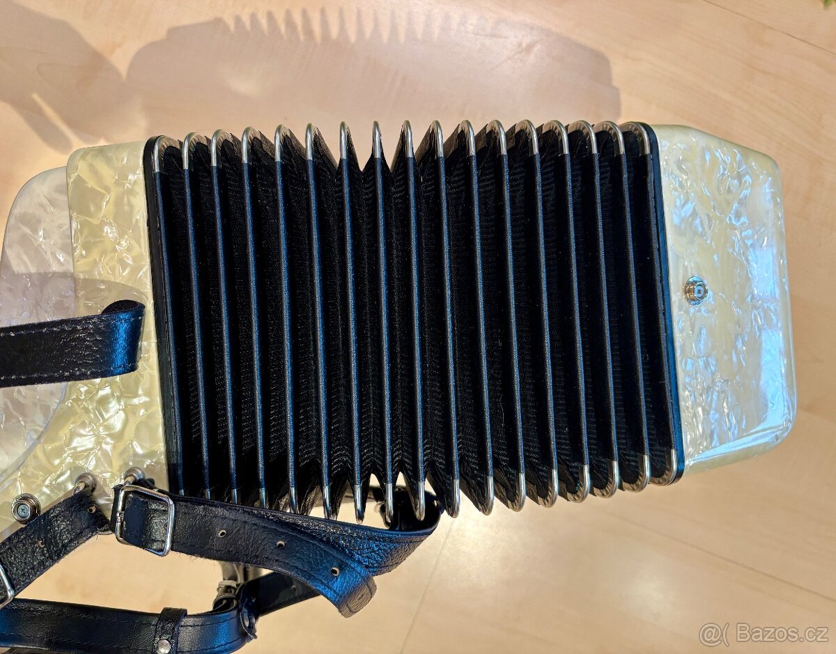 Delicia Junior 24 -60 basů - 4