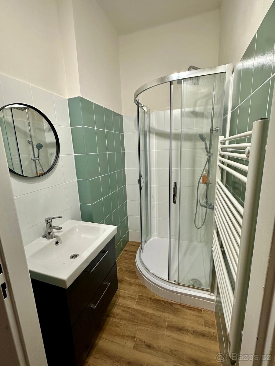 Pronájem bytu 1+1 36 m² - 4