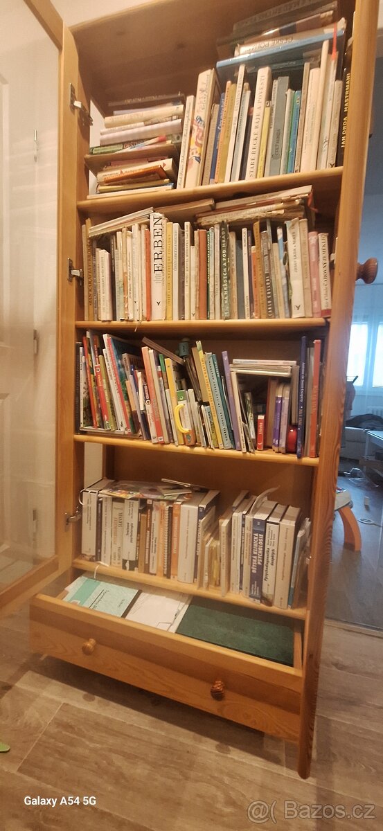 Knihovna borovice masiv - 4