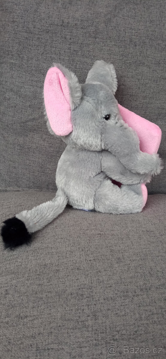 SLON S RÁMEČKEM NA FOTKU - 4