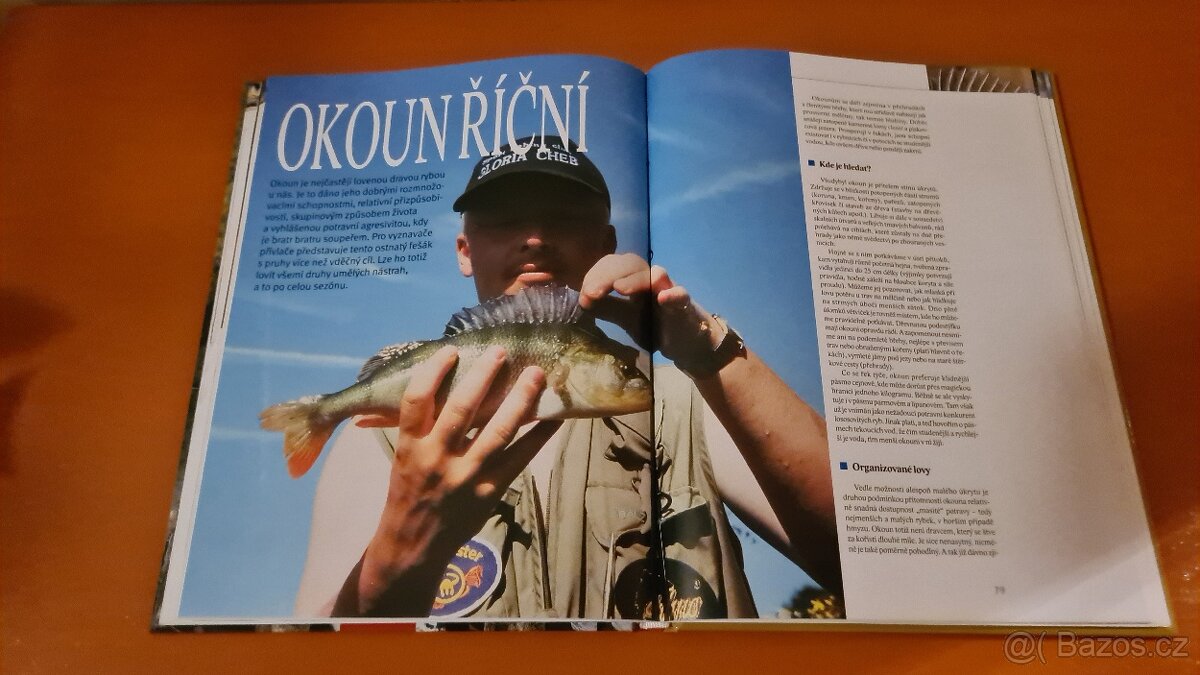 Kniha Přívlač na mimopstruhových vodách - 4