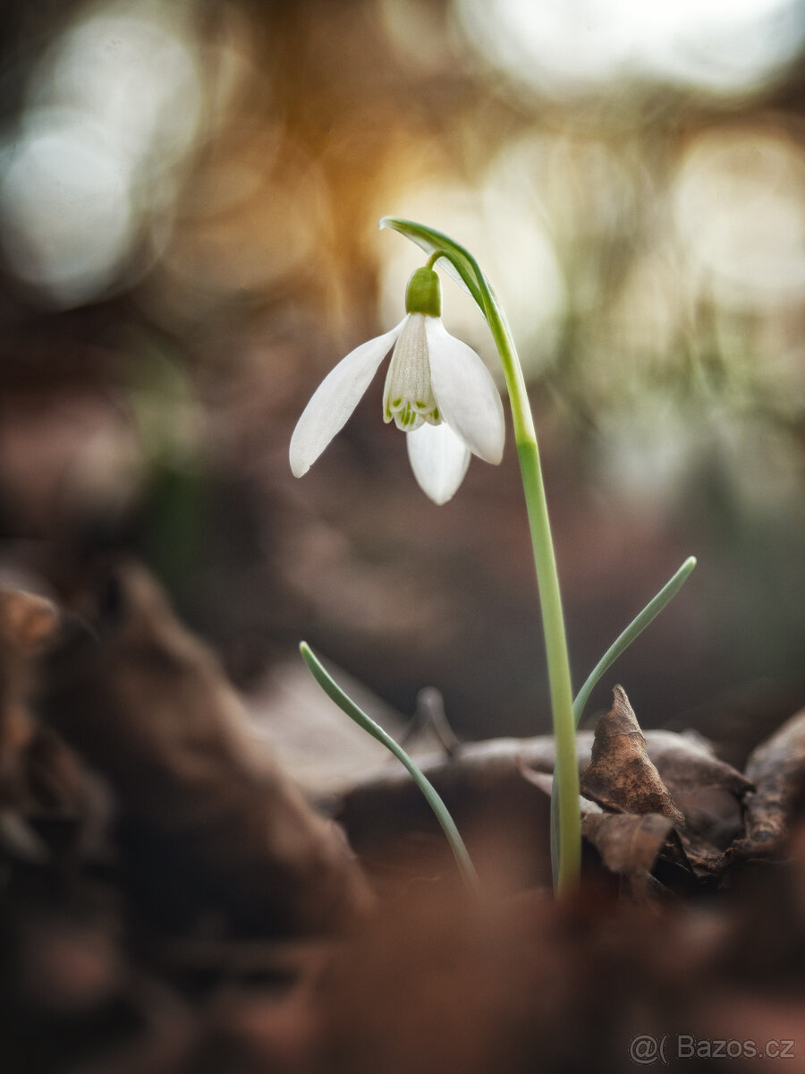 Meopta Anaret S 80/4,5 M42 - 4