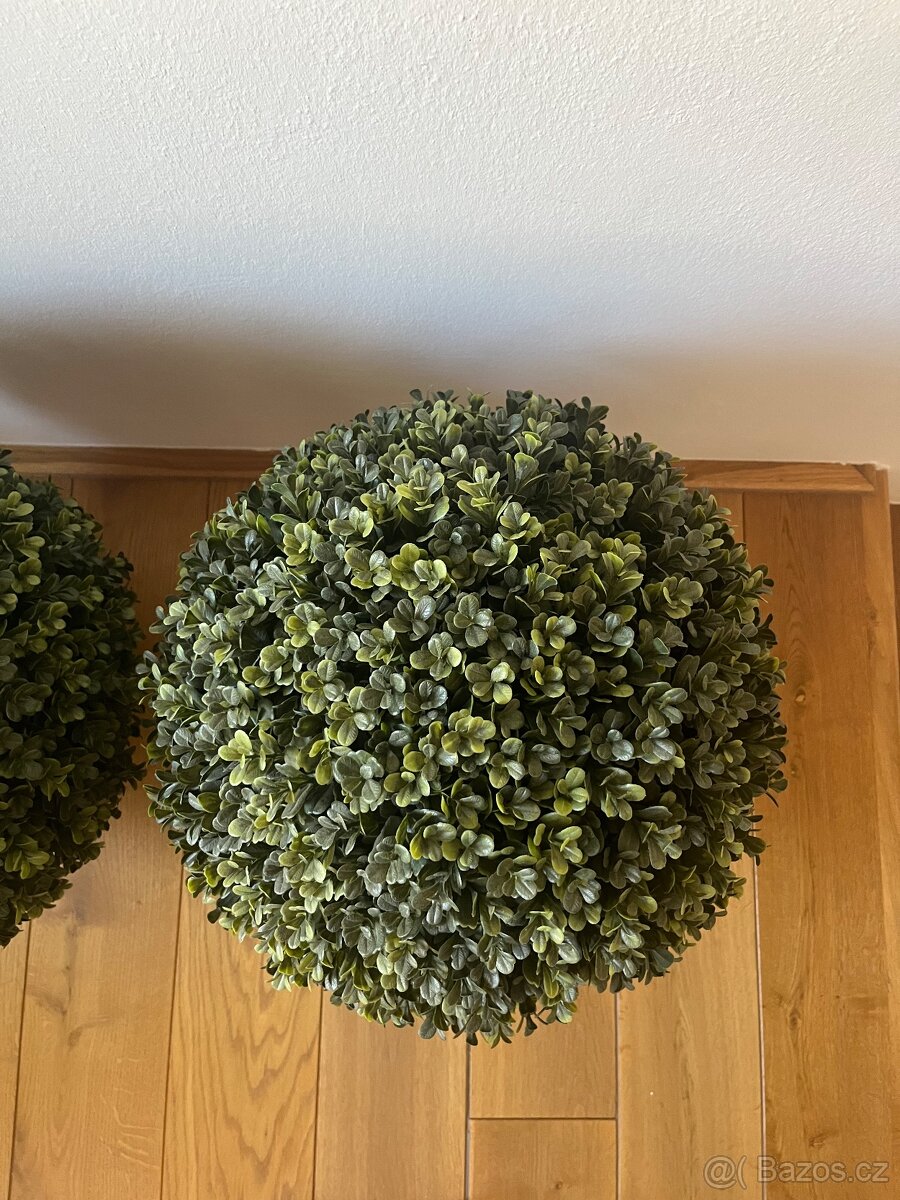 Umělé buxusy - 4