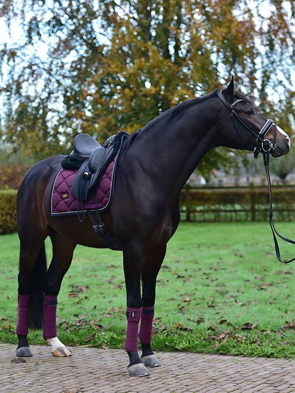Equestrian Stockholm Purple Gold DL - 4