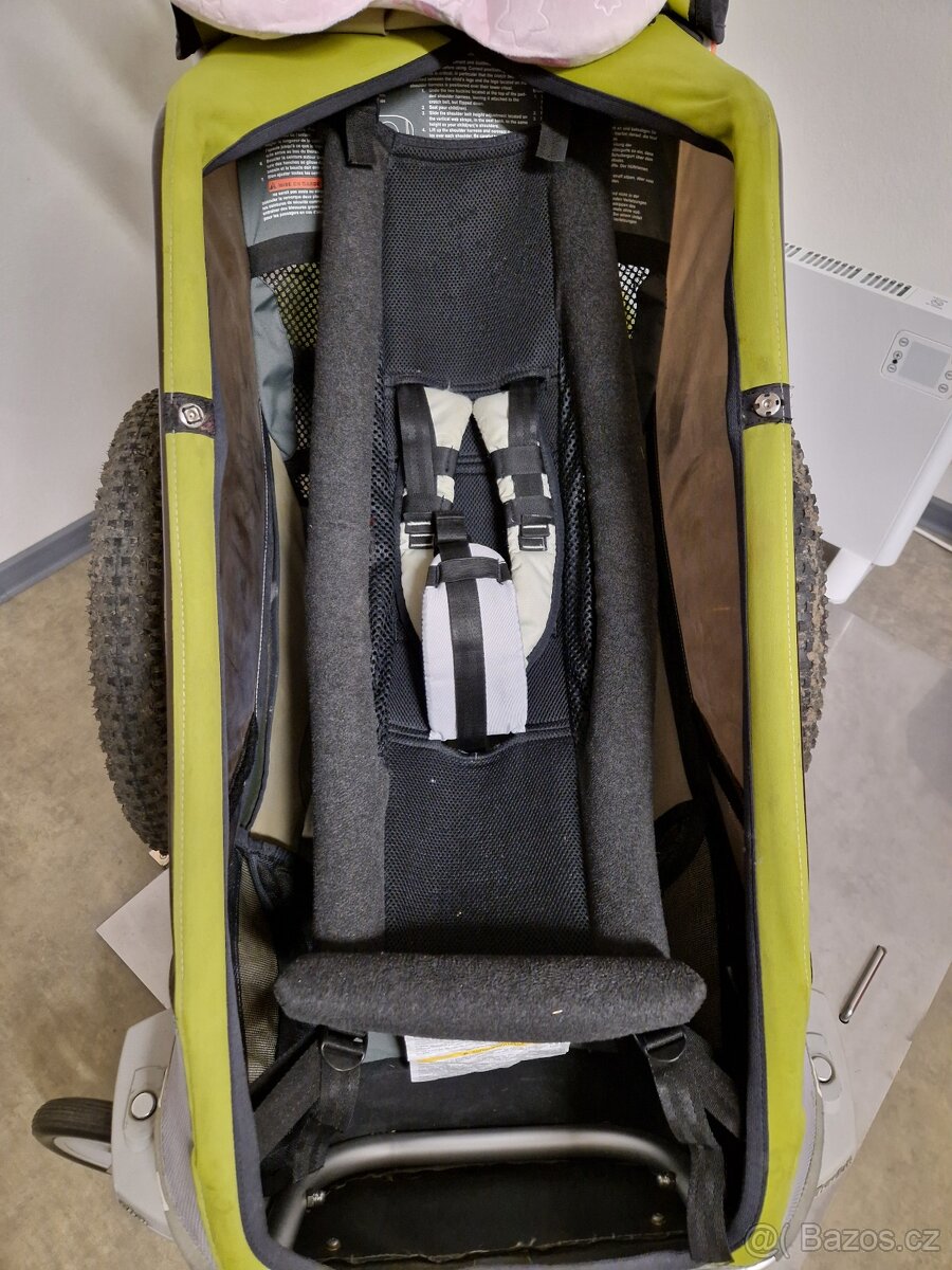 Miminkovník thule - 4