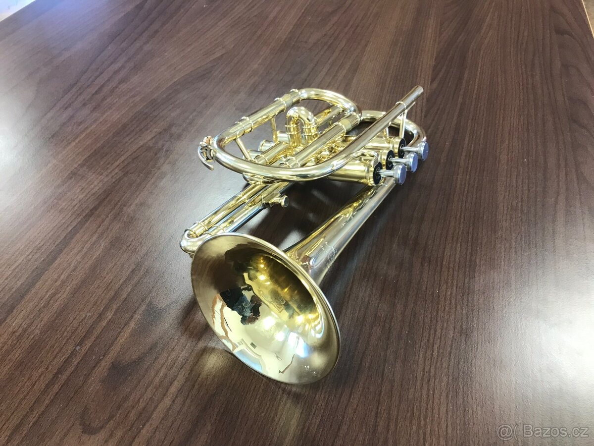Cornet b - 4