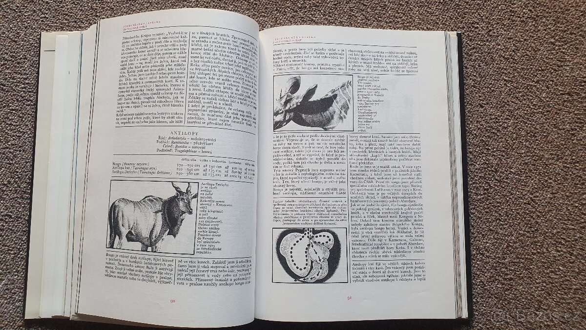AFRIKA - ŽIVOT A SMRT ZVÍŘAT - Josef Vágner - 4