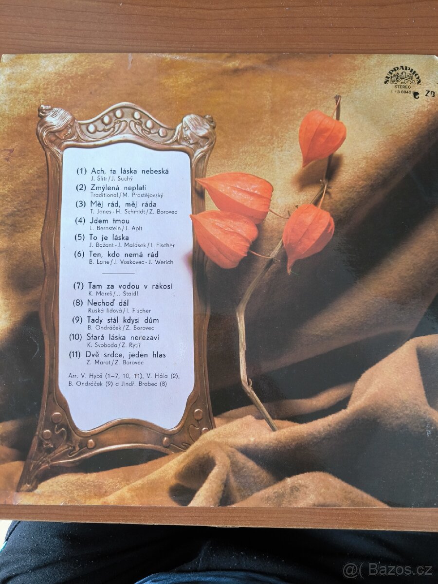 L P různé pisnicky - 4
