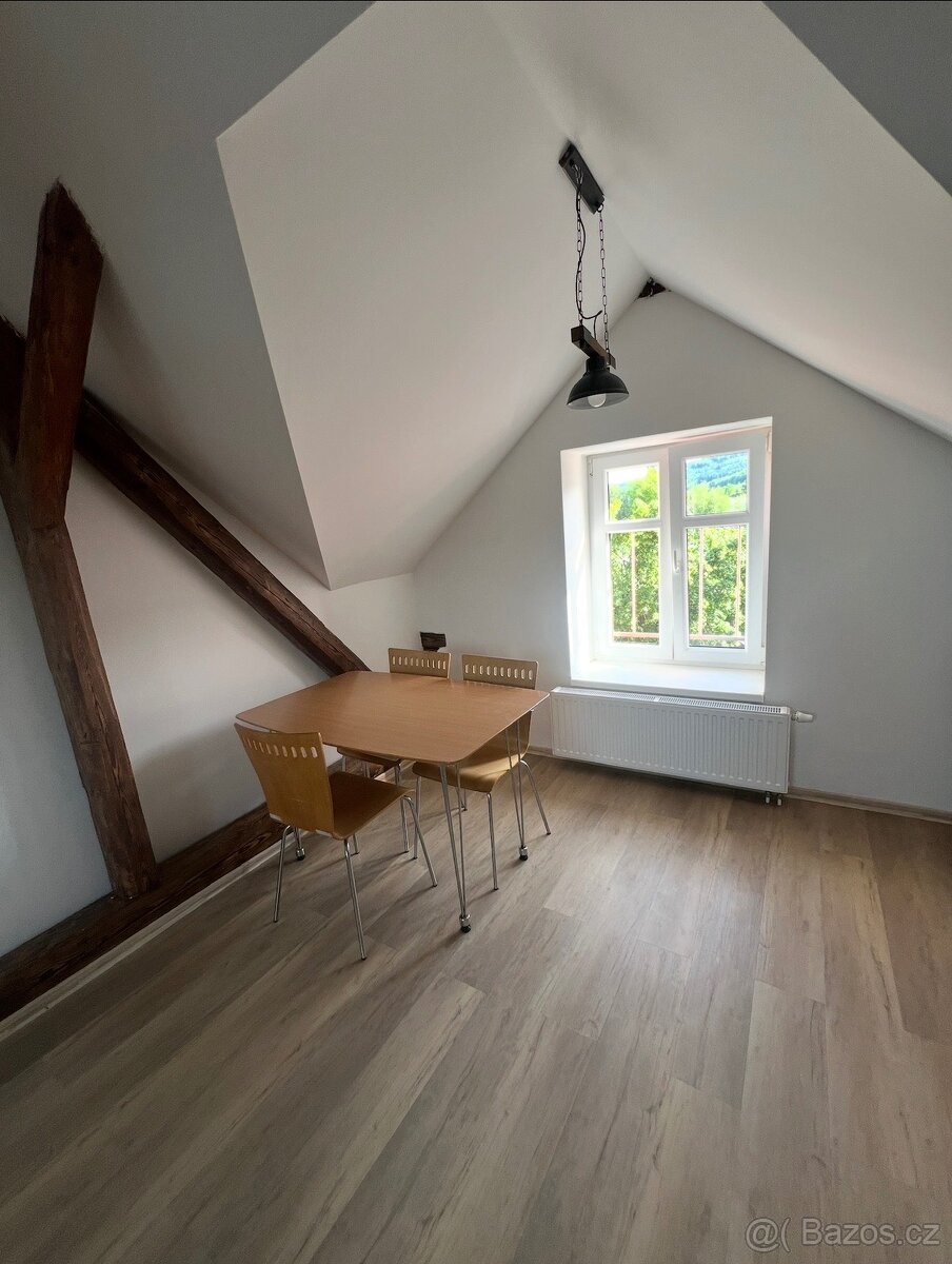 Garsoniéra k pronájmu v Odrách - 4