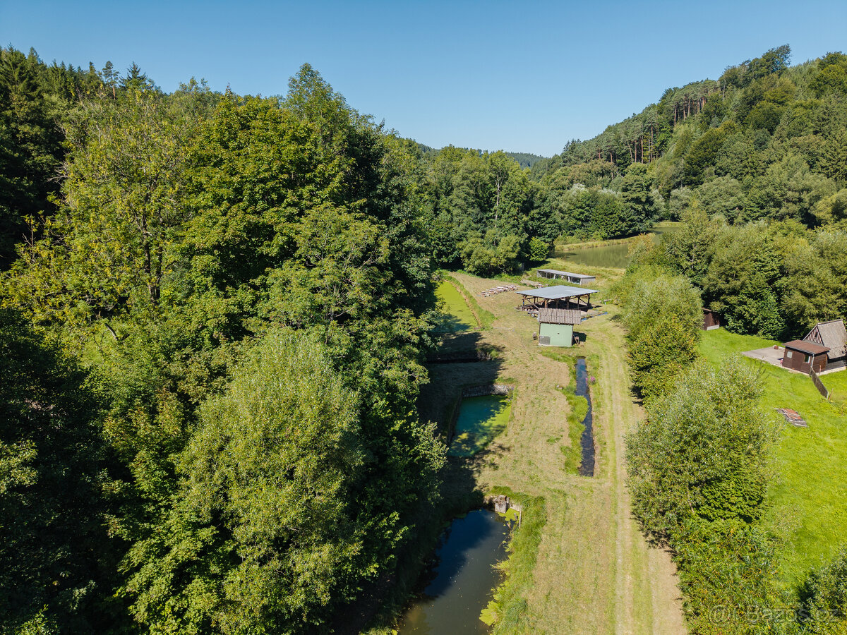 Pronájem rybích sádek, Nové Hrady - 4