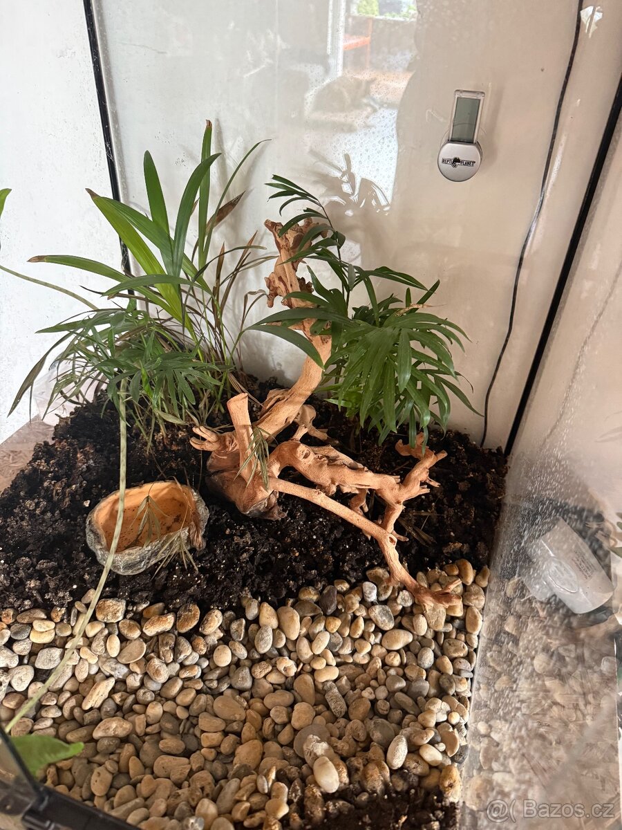 Terárium Reptiplanet - 4