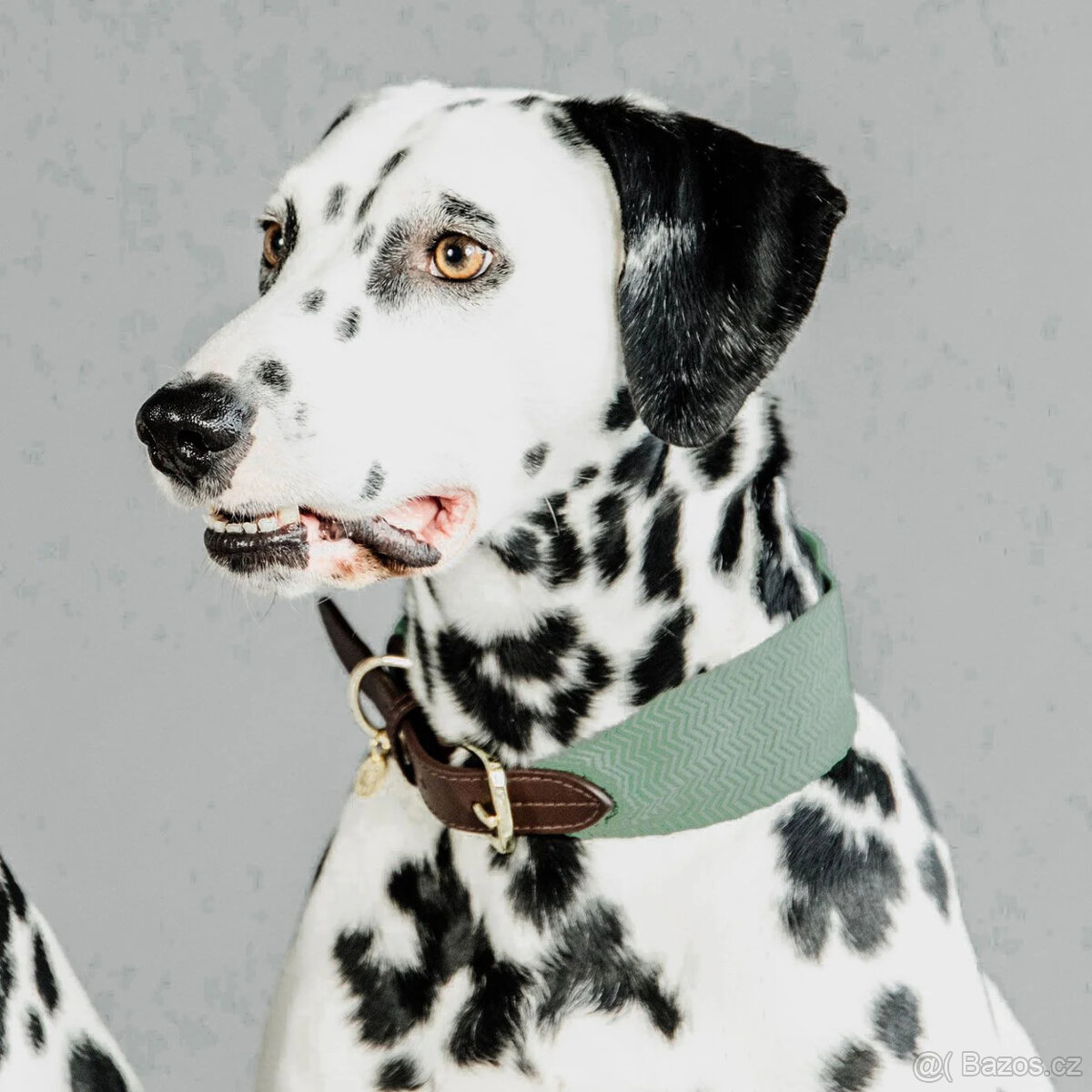 Kentucky - Obojek XL + vodítko - olive green - 4