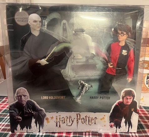 Harry Potter a Voldemort - 4