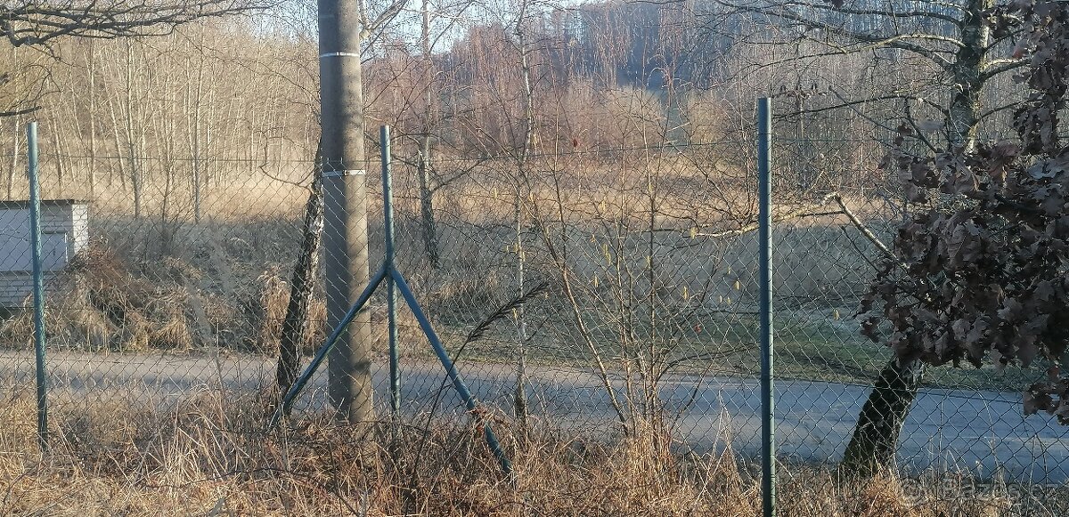 Pozemek 1769 m2 Seč - 4