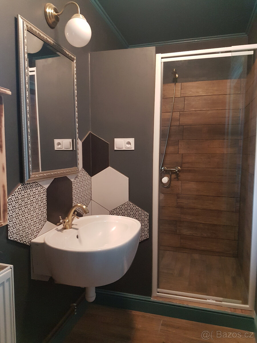 Pronájem bytu 1+1 50 m2 - 4