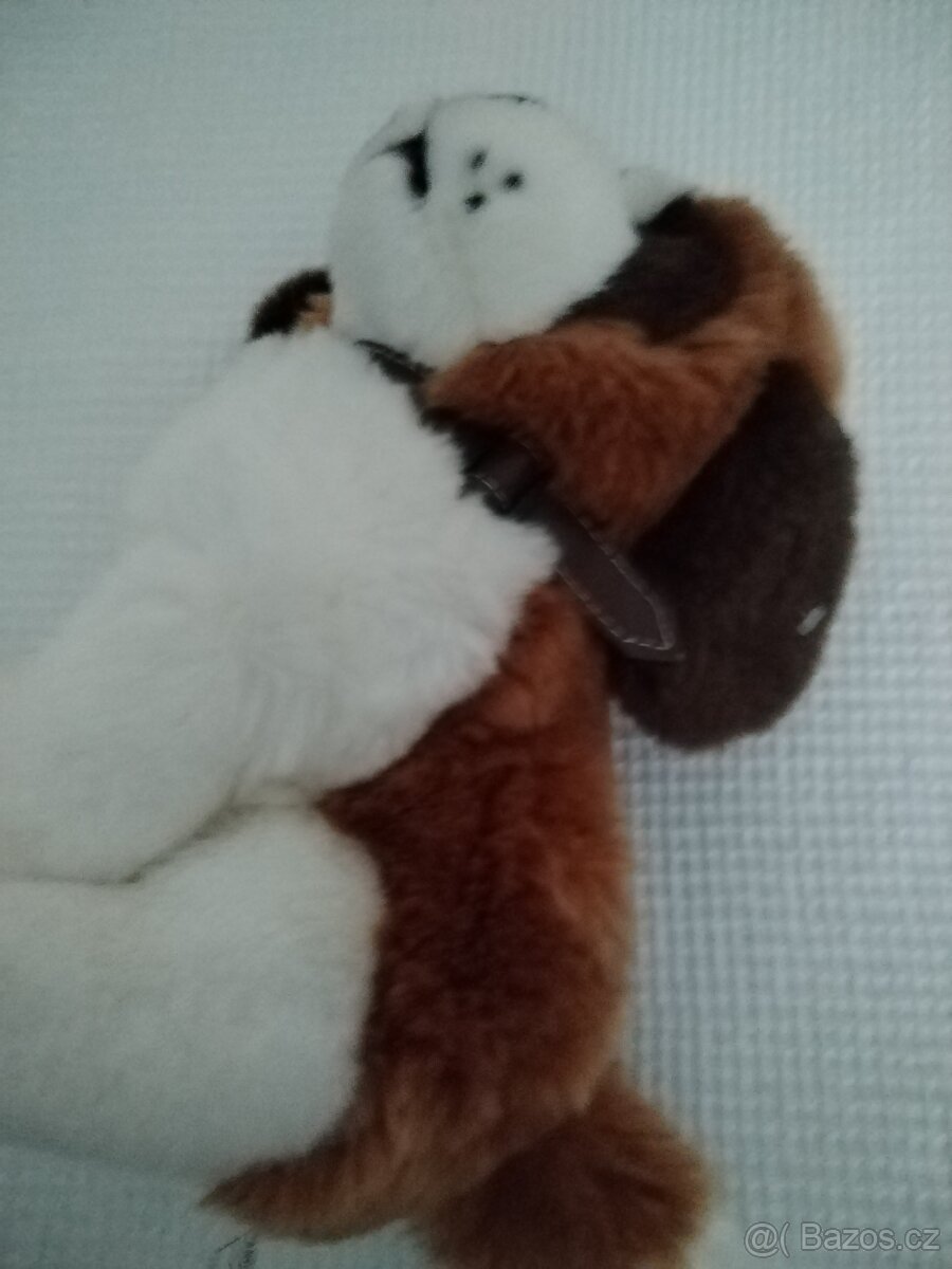 Bernardýn nový 30 cm - 4