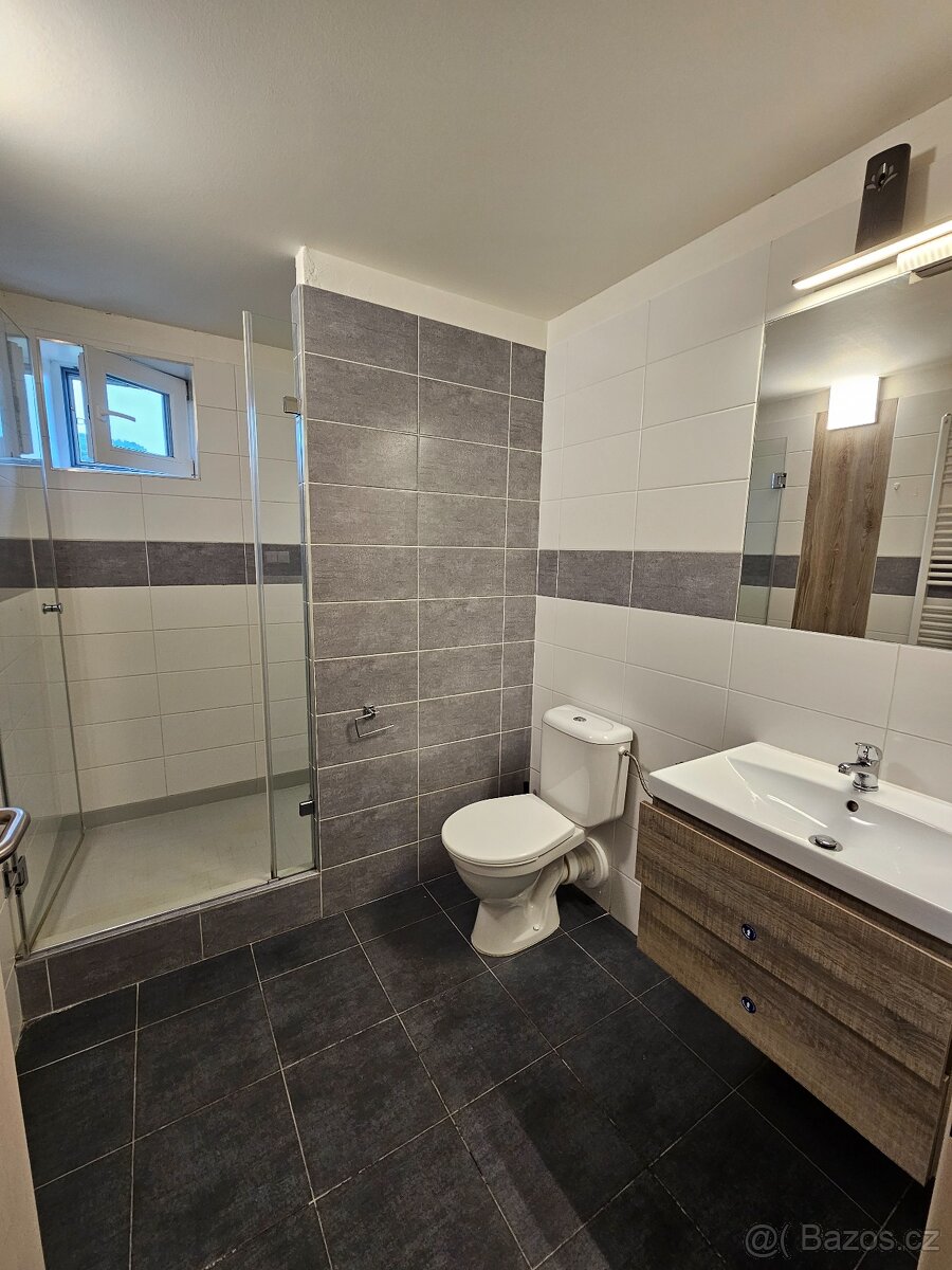 Pronájem bytu pokoje 9 m² - 4