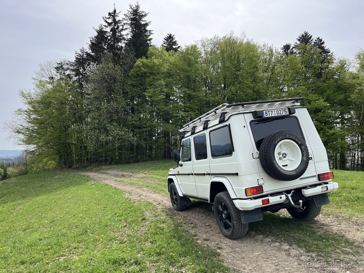 Mercedes Benz G 300 cdi Professional