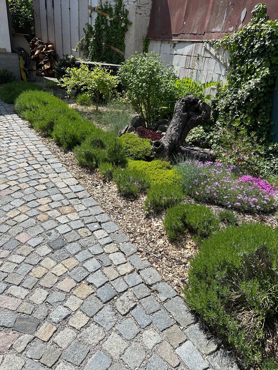 Provzdušnění trávníku - 4