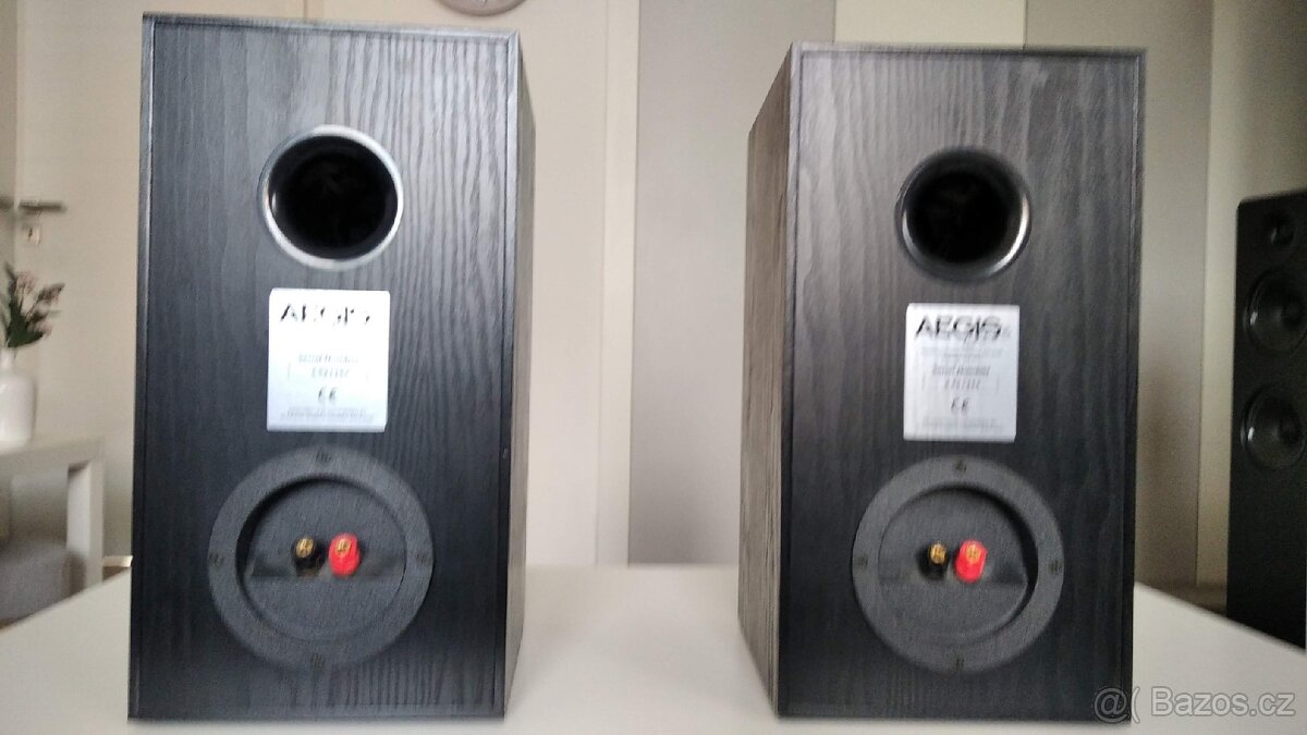 Acoustic energy Aegis One - 4