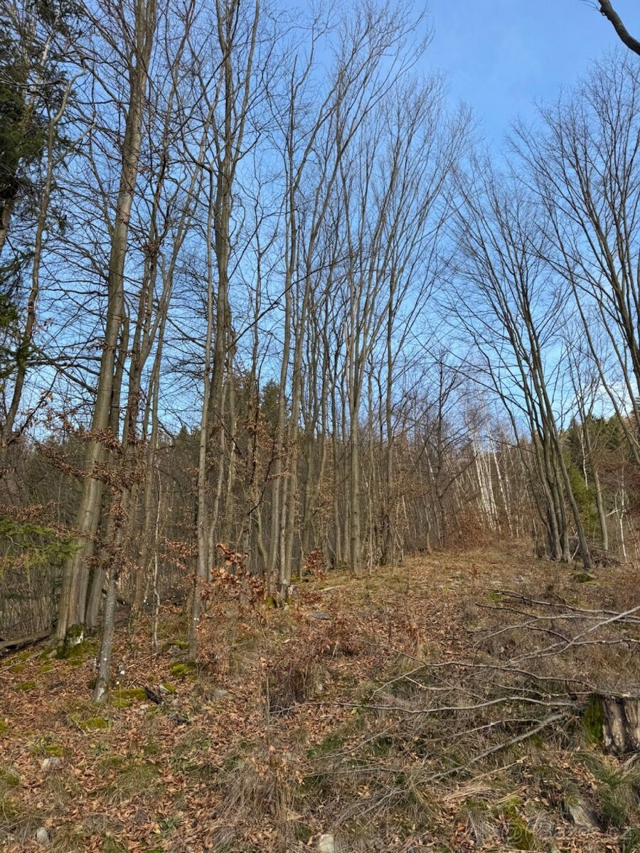 Prodej pozemků k.ú. Huslenky (1) - 4