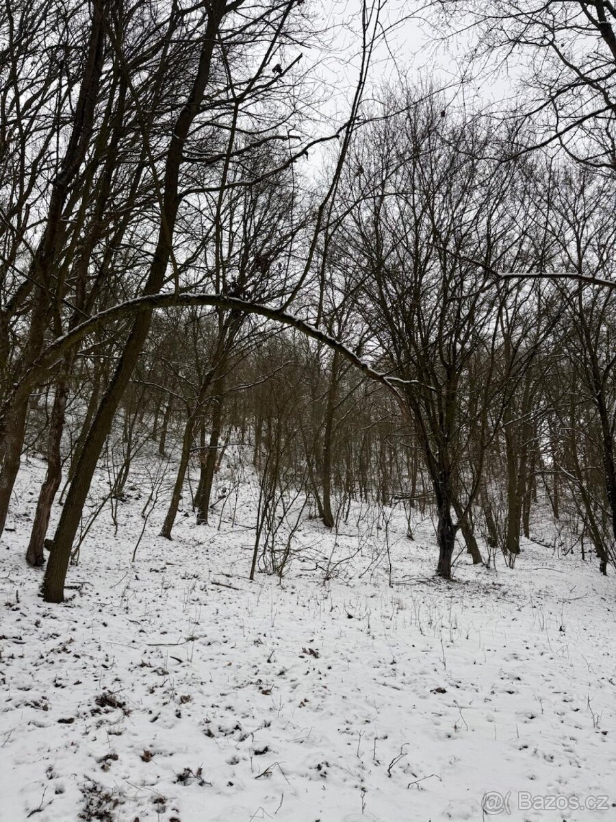 Prodej pozemků k.ú. Chotiměř + k.ú. Velemín - 4