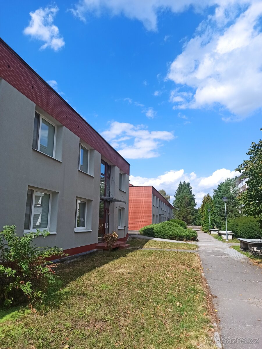 Pronájem bytu 1+kk - 4