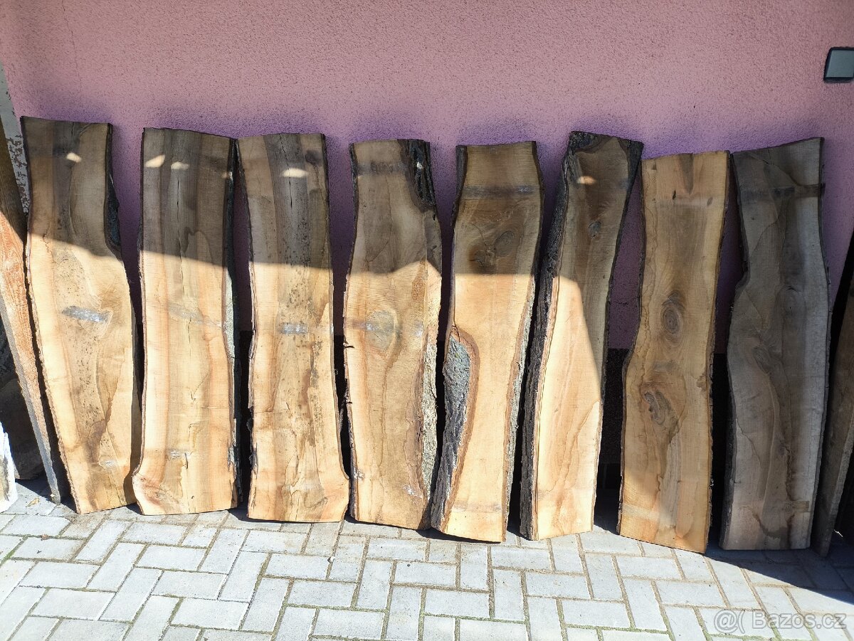 OŘECHOVÉ FOŠNY 55mm, různé délky a šířky. - 4