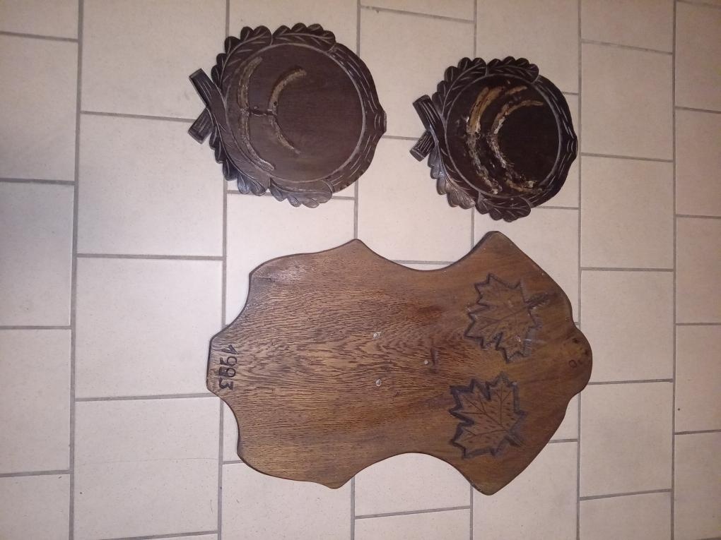 Vyřezávané podložky pod trofeje. - 4