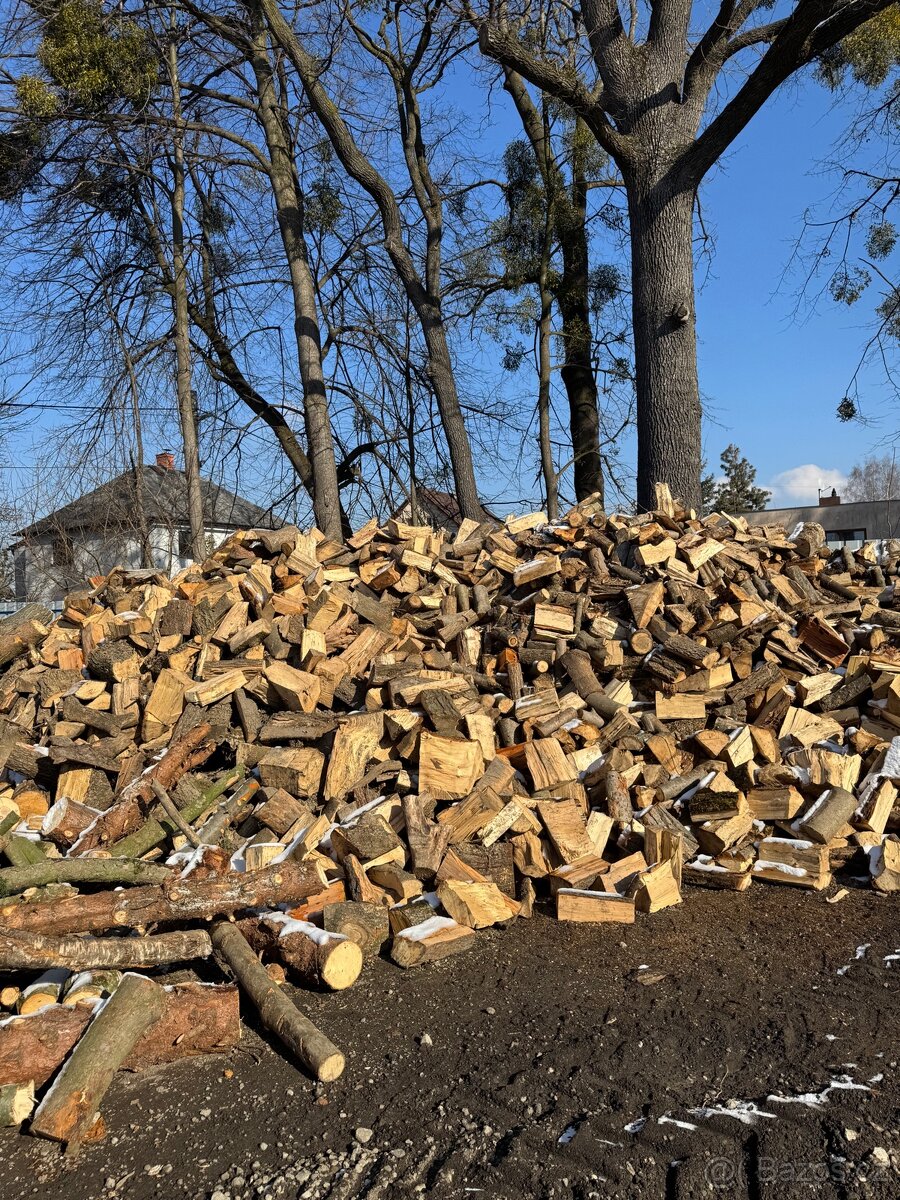 Prodej štípaného dřeva nebo kulatina - 4