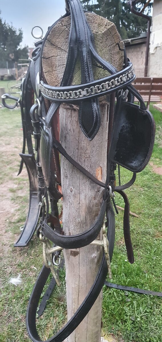 Poprsni koženy postroj full - 4