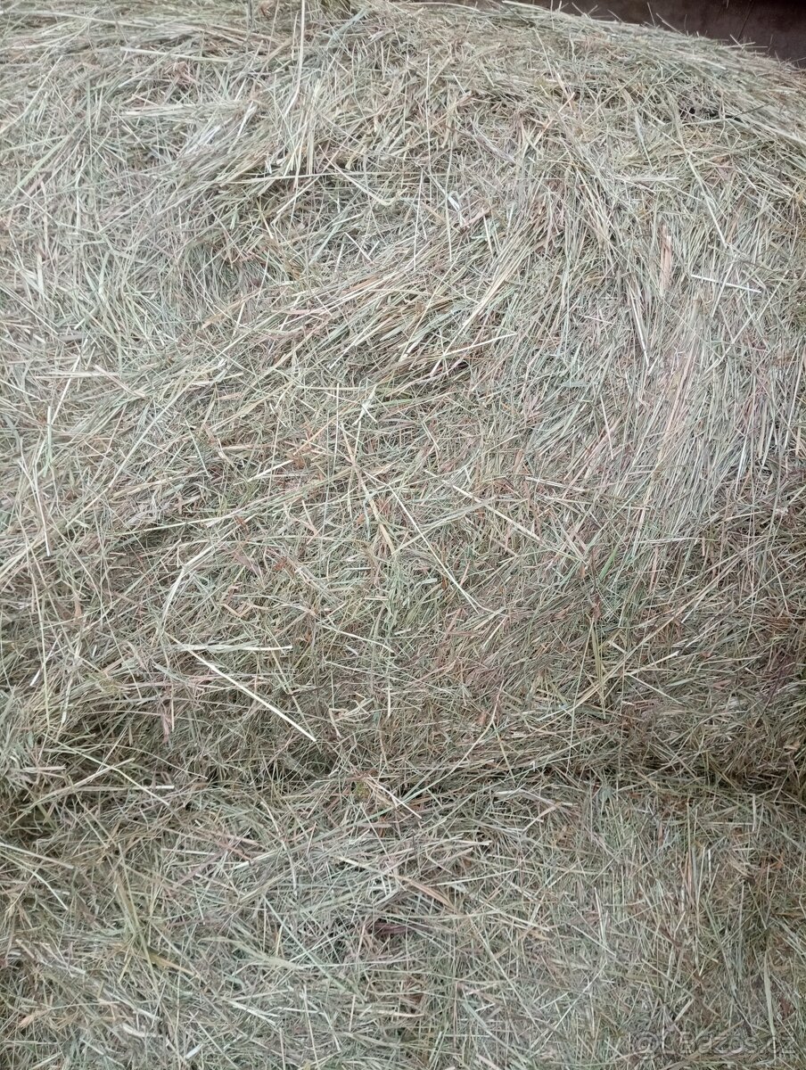 Prodám Balíky Sena - 4
