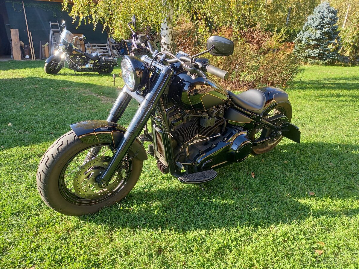 Harley Davidson FLSL Softail Slim 107” - 4