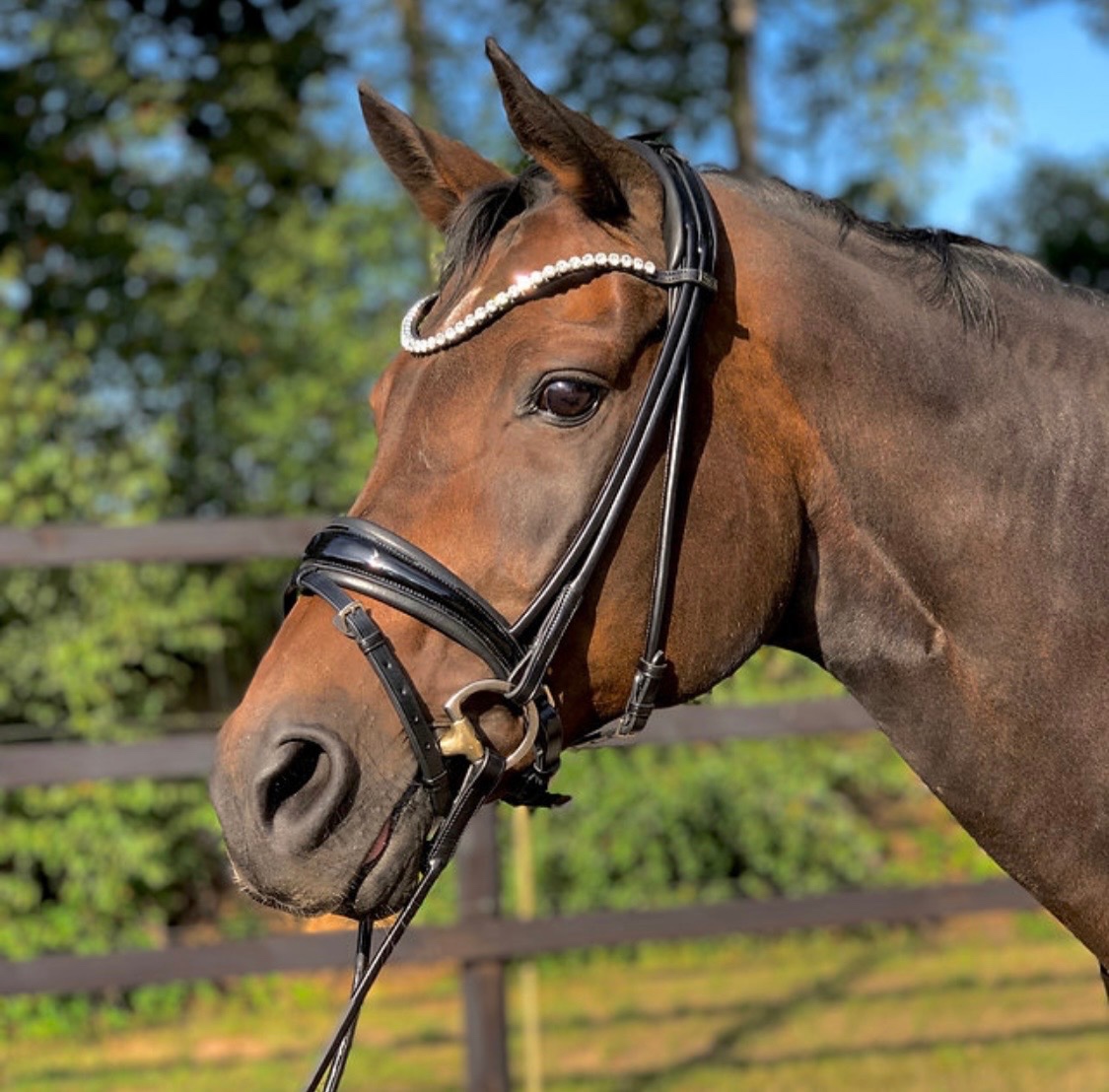 Téměř nová Royal H. anatomická uzdečka - 4