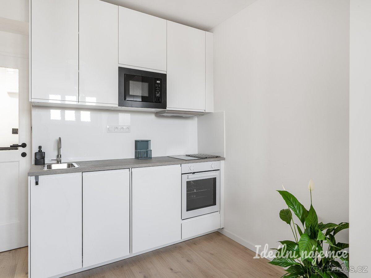 Pronájem bytu 1+kk, Petra Rezka, Nusle, 23 m2 - 4