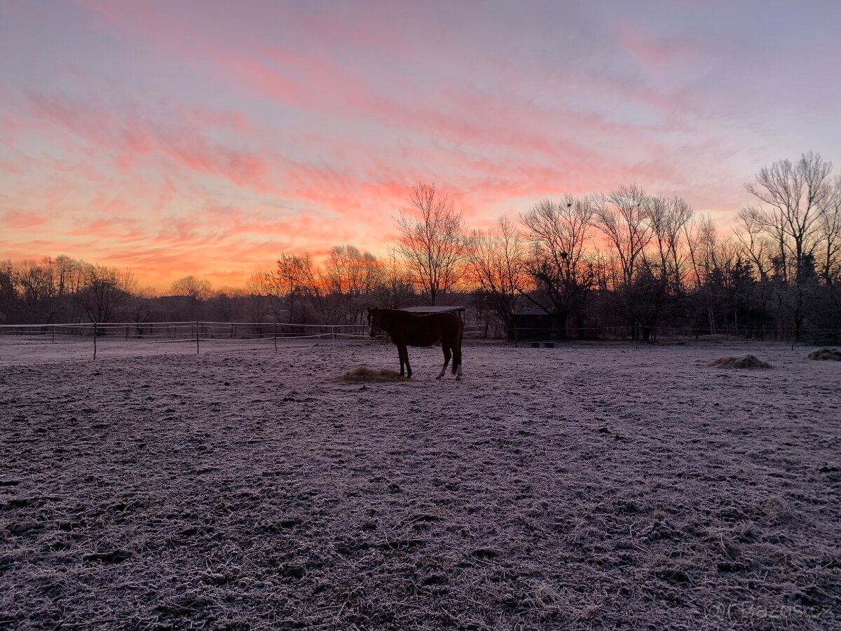 Ustájení Praha 4 - Písnice - 4