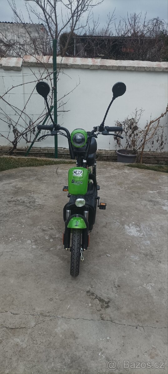 Sharks Eroute RS01 - 4