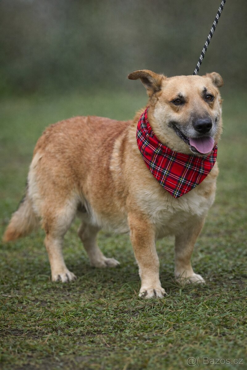 Odin hledá domov - 4