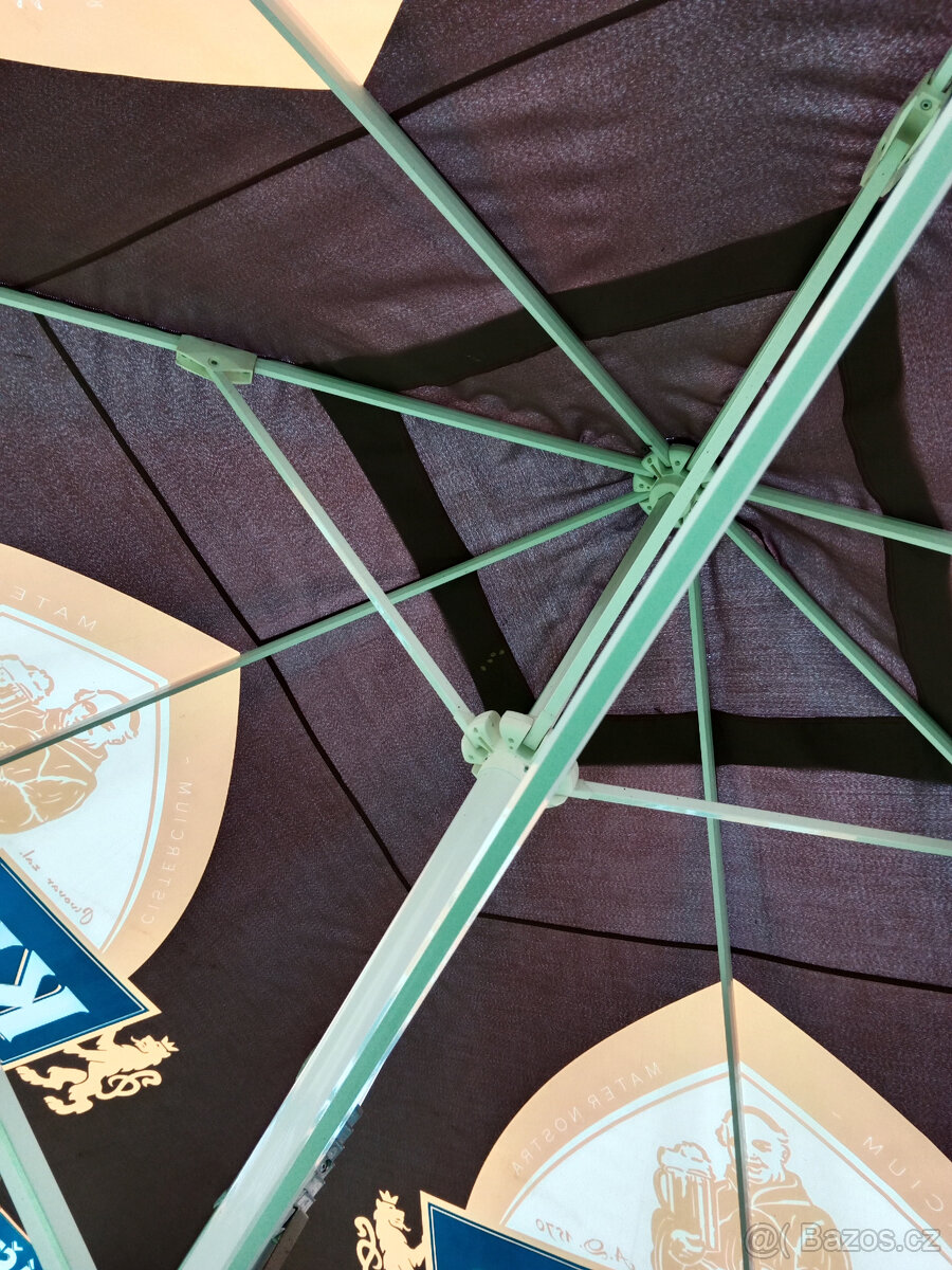 slunečník hospodský - 4