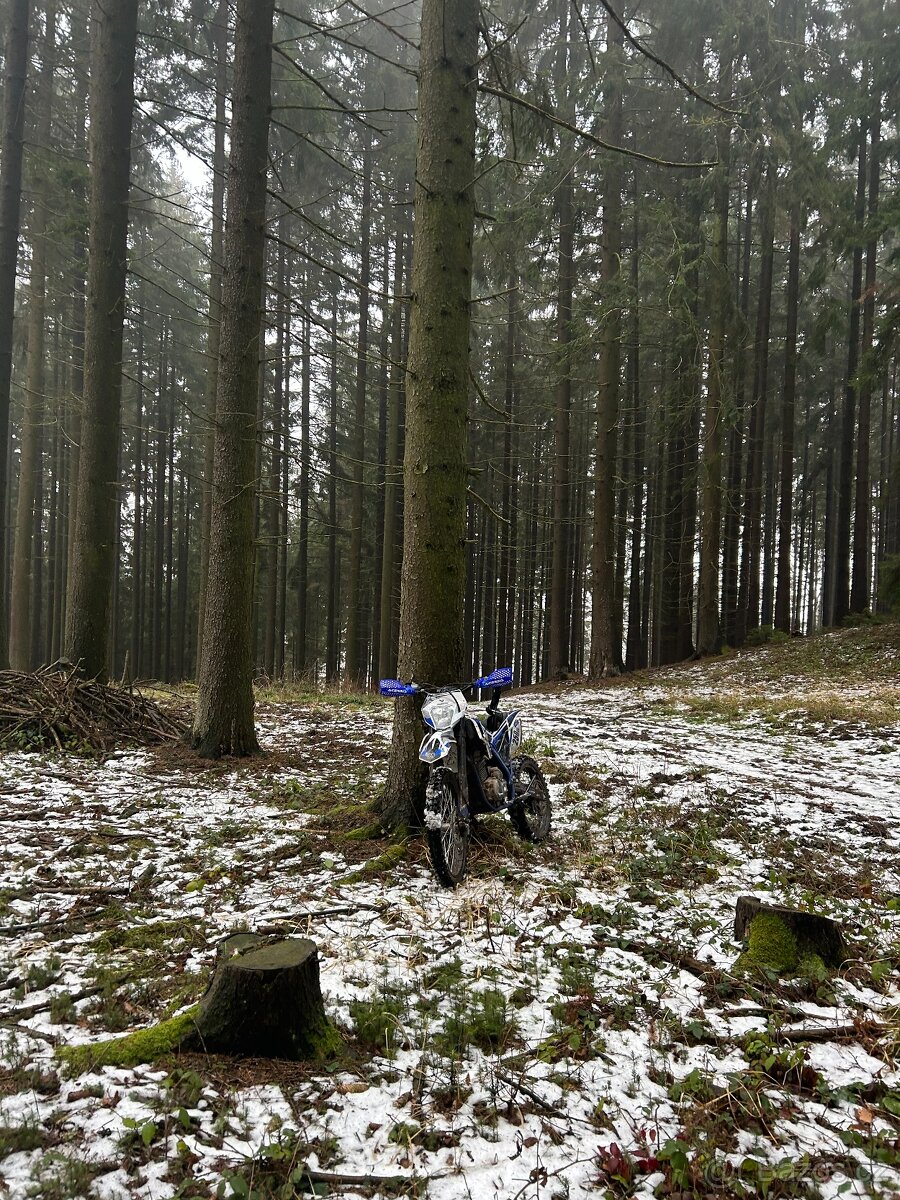 Pitbike Leramotors Killer 250cc