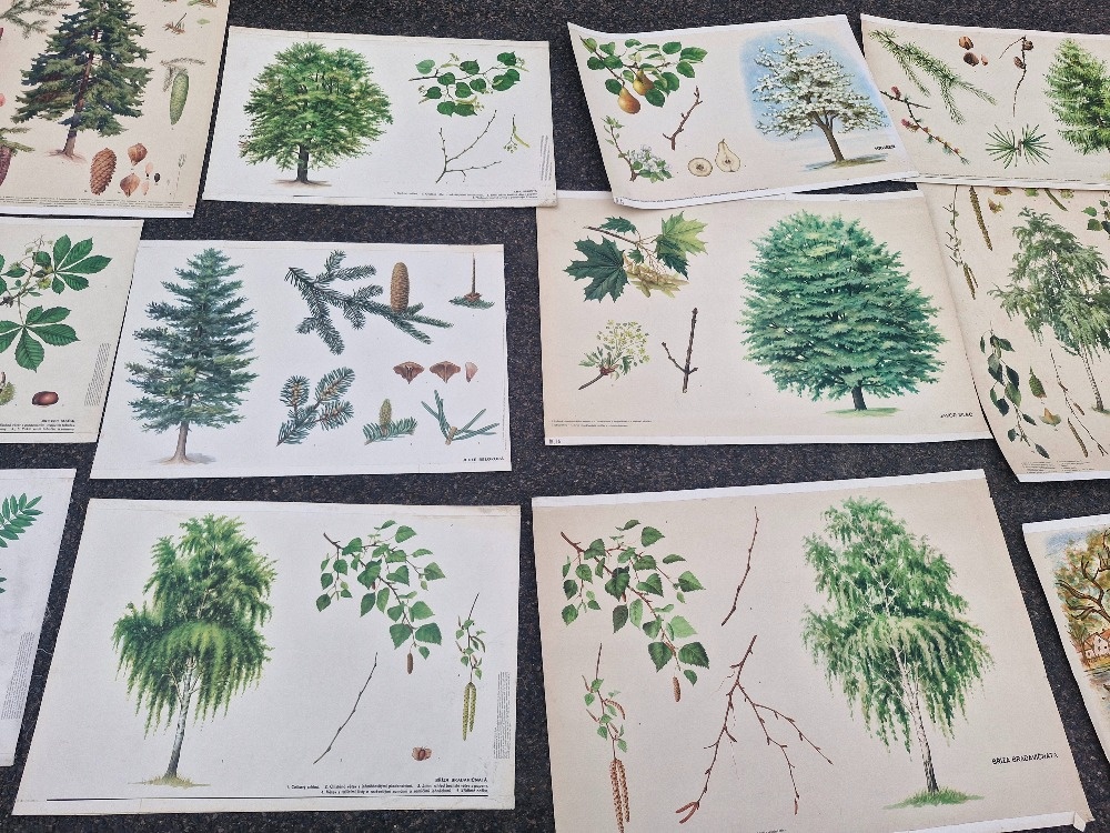 Stare skolni plakaty 50/60 leta - 4