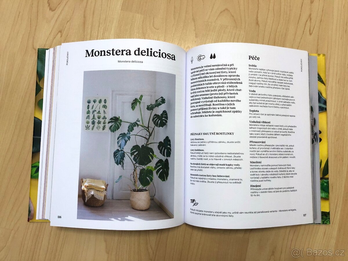 Kniha: Pokojovky a jak se o ně starat - podepsána od autorek - 4