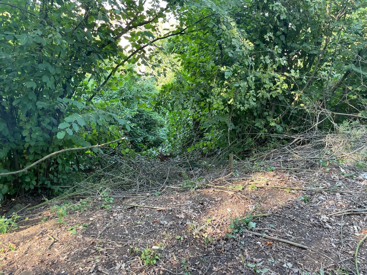 Pozemek zahrada 1100m2 - 4