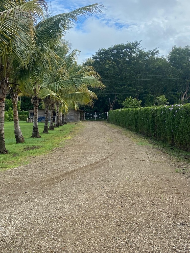 Dům s pozemkem Kostarika - 4