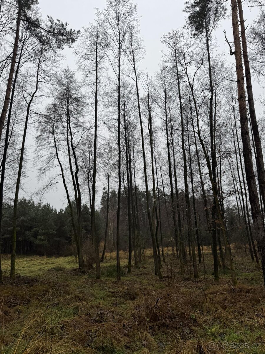 Prodám pozemky v k.ú. Veliny - 4